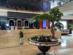 -南京商茂国际酒店(新街口德基广场店)