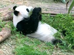 美景-河川生态园