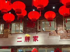 -二胖家铁锅炖大鹅(双井店)