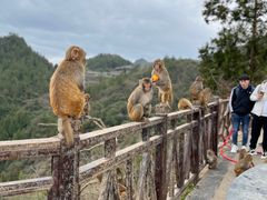 -重庆云阳龙缸景区