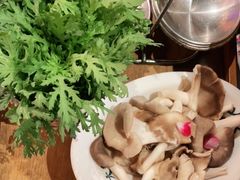 -大龙燚火锅(南山大道店)