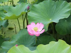 -长安上水缘度假庄园