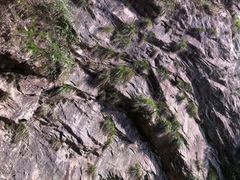 -浙东大峡谷风景区