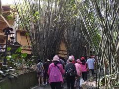 -海南槟榔谷黎苗文化旅游区