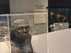 -北京周口店北京人遗址博物馆