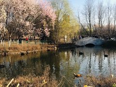 -长白岛森林公园