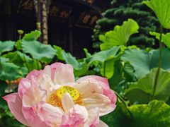 -宝光寺