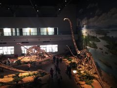 -自贡恐龙博物馆