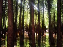 -捞渔河湿地公园