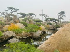 -罗红摄影艺术馆