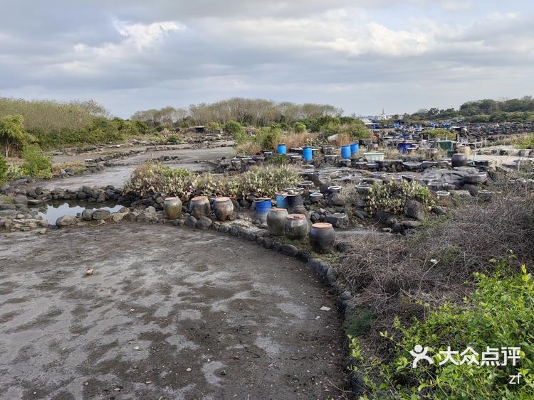 儋州千年古盐田