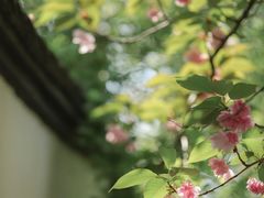 -南京民俗博物馆(甘熙故居)