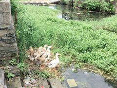 -双峰山国家森林公园-售票处