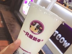 -一只酸奶牛(八一路店)