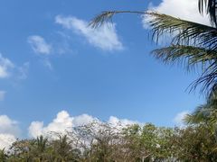 -烤匠麻辣烤鱼(锦华万达店)