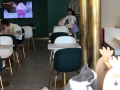 -飞行喵MR PILOT|猫舍·猫咖(静安大融城店)