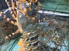 -拉威海鲜市场
