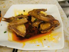 红油小白凤-百利鸽王(紫薇路店)