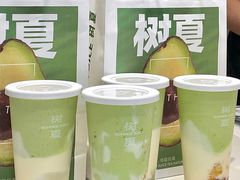 -树夏(建设路店)
