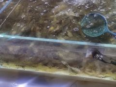 -聚盛源蒸汽海鲜火锅烤肉自助(巨川金海岸购物广场店)