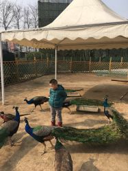 -萌宠亲子动物乐园(槐房万达店)