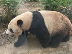 -石排湾郊野公园
