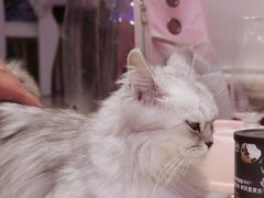 -沐沐家宠物(成寿寺店)