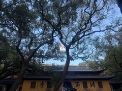 -普陀山风景名胜区-法雨禅寺