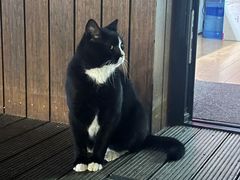 -三里屯东五街银杏大道