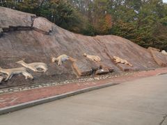-哈尔滨北方森林动物园
