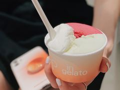 -Dip in Gelato(富民路店)