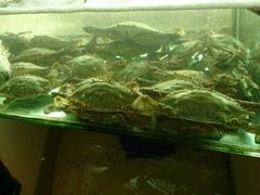 android_upload_pic-合家小菜餐馆(新诚花苑店)