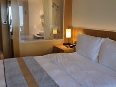 -广州白天鹅宾馆