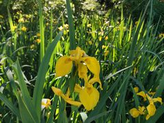 -沈阳辉山风景区