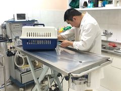 -畜牧兽医站(共江路店)