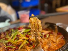 -老板恋上鱼(恒隆广场店)