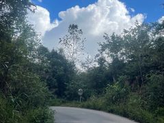 -普洱太阳河森林公园