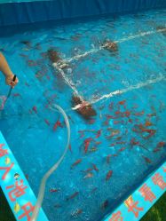 -萌宠亲子动物乐园(槐房万达店)