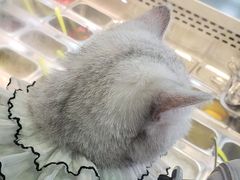 -溢仙茶(中防万宝城店)
