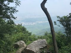 -紫金山索道-售票处