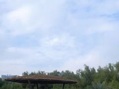 -大亚湾红树林城市湿地公园
