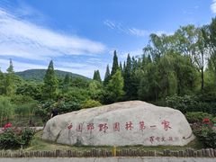 -习家池