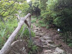 -梧桐山风景名胜区