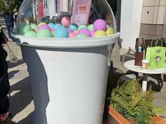 -奈雪的茶(中粮祥云小镇店)