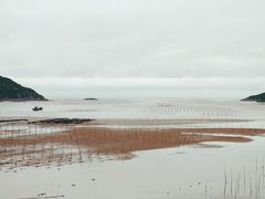 -北岐滩涂