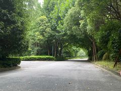 -吴淞炮台湾湿地森林公园烧烤区