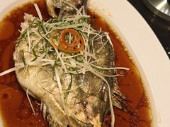 -彩丰楼·中餐厅(国家会展中心上海洲际店)