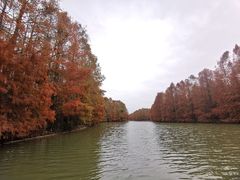 -上海海湾国家森林公园