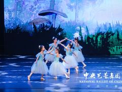 -中央芭蕾舞团·中芭艺蕾(酒仙桥明星校区)