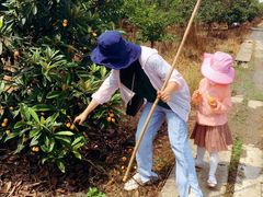 -塘栖枇杷特色园区